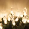 Wintergreen Lighting 50 T5 LED Warm White Mini Christmas Tree Light Set, 4 Spacing, 17', Party Lights Bedroom Lights Dorm Lights String Lights (Warm White, 17 Ft) view 1