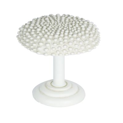 Urbanest Urchin Drapery Holdback Medallion, 1 pc. (Ivory)