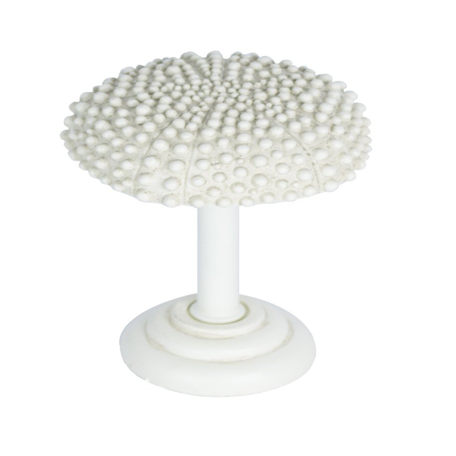 Urbanest Urchin Drapery Holdback Medallion, 1 pc. (Ivory)