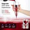 Vintorio Wine Aerator OMNI Set - Premium Decanter for Red Wine Lovers with Gift Box, Velvet Bag, and Mini Stand - Durable, Crystal Clear Acrylic view 2
