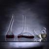 Riedel Crystal Escargot Decanter view 2