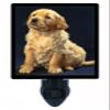 Dog Night Light, Golden Retriever Puppy, Dogs view 1