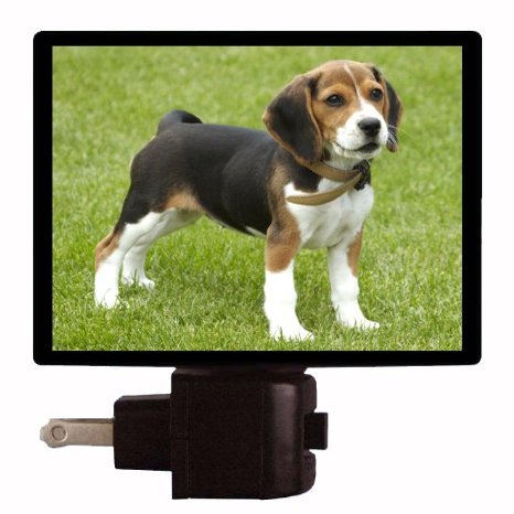 Dog Night Light, Beagle Puppy, Dogs