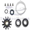 StayCoolPumps SCP-0945808 Impeller Repair Service Kit Replaces Johnson 09-45808 Plus Bearings F5B-9 Pump 10-24228-1 view 2