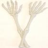 Skeleton Tongs view 2