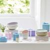 Portmeirion Sophie Conran Celadon Pasta Bowl | Set of 4 | Large Serving Bowls for Soup or Salad | 9 Inch | Made from Fine Porcelain | Microwave and Dishwasher Safe view 2