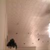 White Styrofoam Decorative Ceiling Tile Alfa (Package of 8 Tiles) - Other Sellers Call This Bostonian and R01 view 2