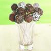 Nordic Ware 50 Count Cake Pop Sticks view 3