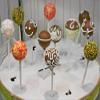 Nordic Ware 50 Count Cake Pop Sticks view 4