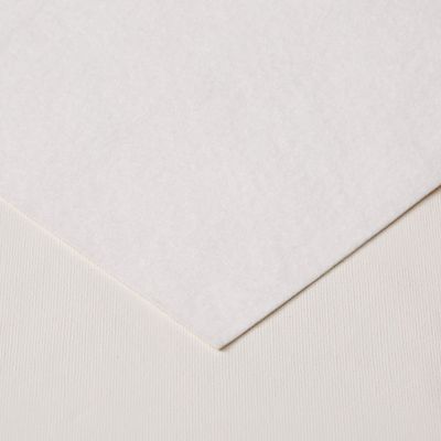 HomeCrate Premium Cushioned Heavy Duty Vinyl Table Pad with Flannel Backing, 52" x 120"