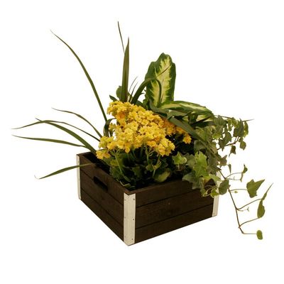 wald imports - Set of 3 Distressed Wooden Crates for Storage - Decorative Wooden Crate Set for Home Decoration & Display - Vintage Storage for Household Goods