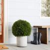 Silk Dcor Cedar Ball Topiary in Pot, 20-Inch, Green view 4