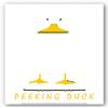 Image Conscious Peeking Duck by Loeo Posillico 12"x16" Art Print Poster view 1
