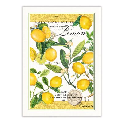 Michel Design Works Kitchen Dish Towel, Lemon Basil