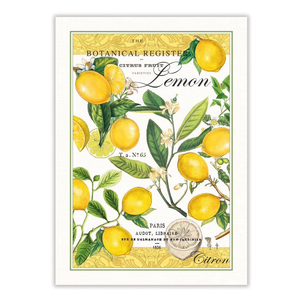 Michel Design Works Kitchen Dish Towel, Lemon Basil