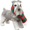 Sandicast Gray Schnauzer with Red and Green Scarf Christmas Ornament view 1