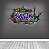 Custom Name Graffiti Wall Art, 3D Personalized Decal, Removable Vinyl Peel and Stick Sticker, Room Decor Mural (WSDPGN33_L) view 1