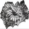 Alessi "A Lotus Leaf" Centerpiece in 18/10 Stainless Steel Mirror Polished, Silver view 1