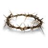 Holy Land Imports Passion of Christ Crown of Thorns/Authentic Crown of Thorns Comes in Gift Box with Description view 1