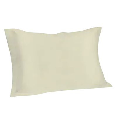 Spasilk Pure Silk Pillowcase, Charmeuse Silk Pillowcase, Hypoallergenic, Queen Sized, Ivory