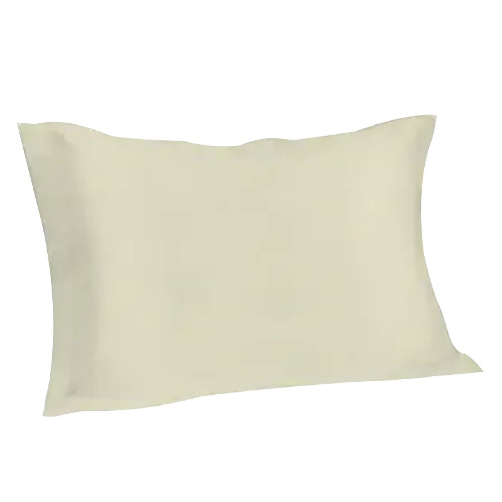 Spasilk Pure Silk Pillowcase, Charmeuse Silk Pillowcase, Hypoallergenic, Queen Sized, Ivory