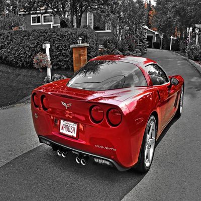 2005 Corvette Coupe - Canvas OR FINE Print Wall Art