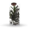 WGV Cylinder Vase, Width 7", Height 12", Clear Wide Large Diameter Flower Glassware, Floral Container, Planter Terrarium for Wedding Party Event, Home Accent Decor, 1 Piece view 4
