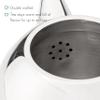 bredemeijer Santhee Double Walled Teapot, 0.5-Liter Stainless Steel Glossy Finish with Glossy Accents view 2
