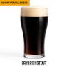 Craft A Brew Recipe Kit - Bone Dry Irish Stout Refill - 1 Gallon - Ingredients for Home Brewing Beer view 2