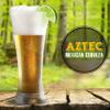 Mr. Beer Aztec Mexican Cerveza 2 Gallon Homebrewing Refill view 2