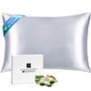 Ravmix Silk Pillow Cases with Zipper, 21momme Mulberry Silk Pillowcase for Hair Skin Health, Soft Smooth Breathable Cool Pillow Cover for Beauty Sleep with Gift Box 1PC(Standard 20"x26", Silver Grey) view 1