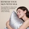 Ravmix Silk Pillow Cases with Zipper, 21momme Mulberry Silk Pillowcase for Hair Skin Health, Soft Smooth Breathable Cool Pillow Cover for Beauty Sleep with Gift Box 1PC(Standard 20"x26", Silver Grey) view 2