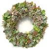 15" Wire Living Wreath Form view 4