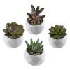 MyGift Miniature Artificial Succulents, Indoor Fake House Plants in Round White Geometric Ceramic Pots, Set of 4 view 1