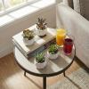 MyGift Miniature Artificial Succulents, Indoor Fake House Plants in Round White Geometric Ceramic Pots, Set of 4 view 2