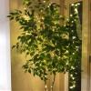 Lighting EVER Fairy Lights Plug in, 33ft 100 LED String Lights for Bedroom, Warm White Copper Wire Lights, Waterproof Indoor Outdoor Decorative Fairy Lights for Patio, Garden, Balcony, Vases, Craft view 2