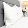 Hotel Feather and Down Queen Size Bed Pillow Set (2 Pack) view 4