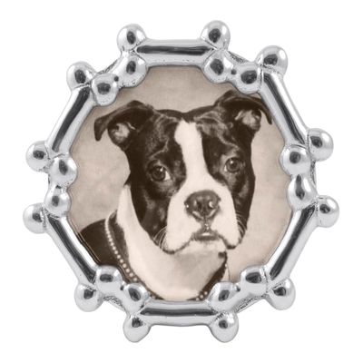 Mariposa Dog Bone Round Frame