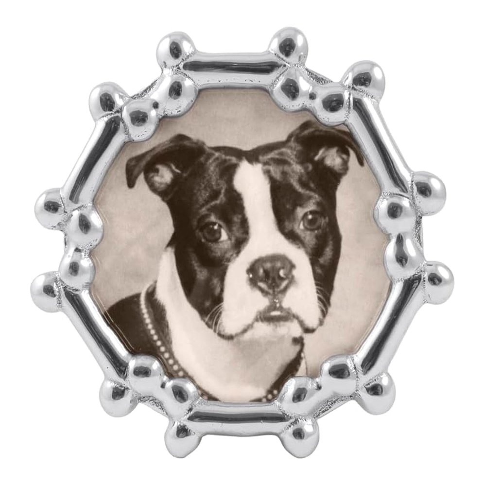 Mariposa Dog Bone Round Frame