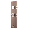 Copper Creek CZ2610xBK-PS Mid-Century Modern Entrance Handleset in Polished Stainless with Ball Knob Interior view 4