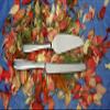 Fortessa Grand City Stainless Steel Cake Serving Set in a Box view 4