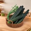 Gresorth 2pcs Soft PU Artificial Cucumber Fake Vegetable Decoration Lifelike Home Kitchen House Table Show view 3