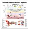 Blue Tree Publishing Audiogram of Everyday Sound Poster 24x36inch, Speech Banana, Waterproof, Show Frequency, Pitch and Ear Infomation view 1