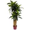 Nearly Natural 4ft. Corn Stalk Dracaena Silk Plant (Real Touch) view 1