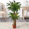 Nearly Natural 4ft. Corn Stalk Dracaena Silk Plant (Real Touch) view 3