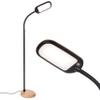 Brightech Litespan Slim LED Floor Lamp - Modern Reading Light Over Chair for Living Rooms & Offices, Tall With Adjustable Gooseneck, Crafts Work Light, Dimmable Standing for Bedroom - Wood view 1