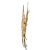 Kurt Adler 10 Light Gold Glitter Capiz Bethlehem Star Treetop, 14" view 3