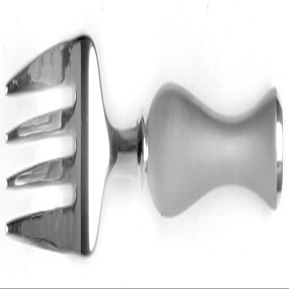 Bellaire Ice Dinner Fork