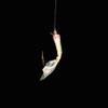 Hayabusa HS135-4-0.6 Seaguar Small Horse Mackerel, White Skin view 3