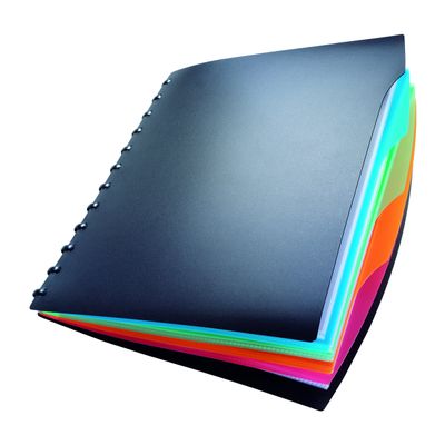Durable Duralook Style Display Book with 20 Removable Pockets and 4 Part Index, A4